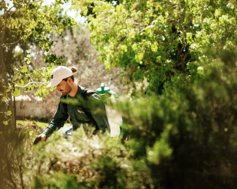 Service Pro spraying pest control